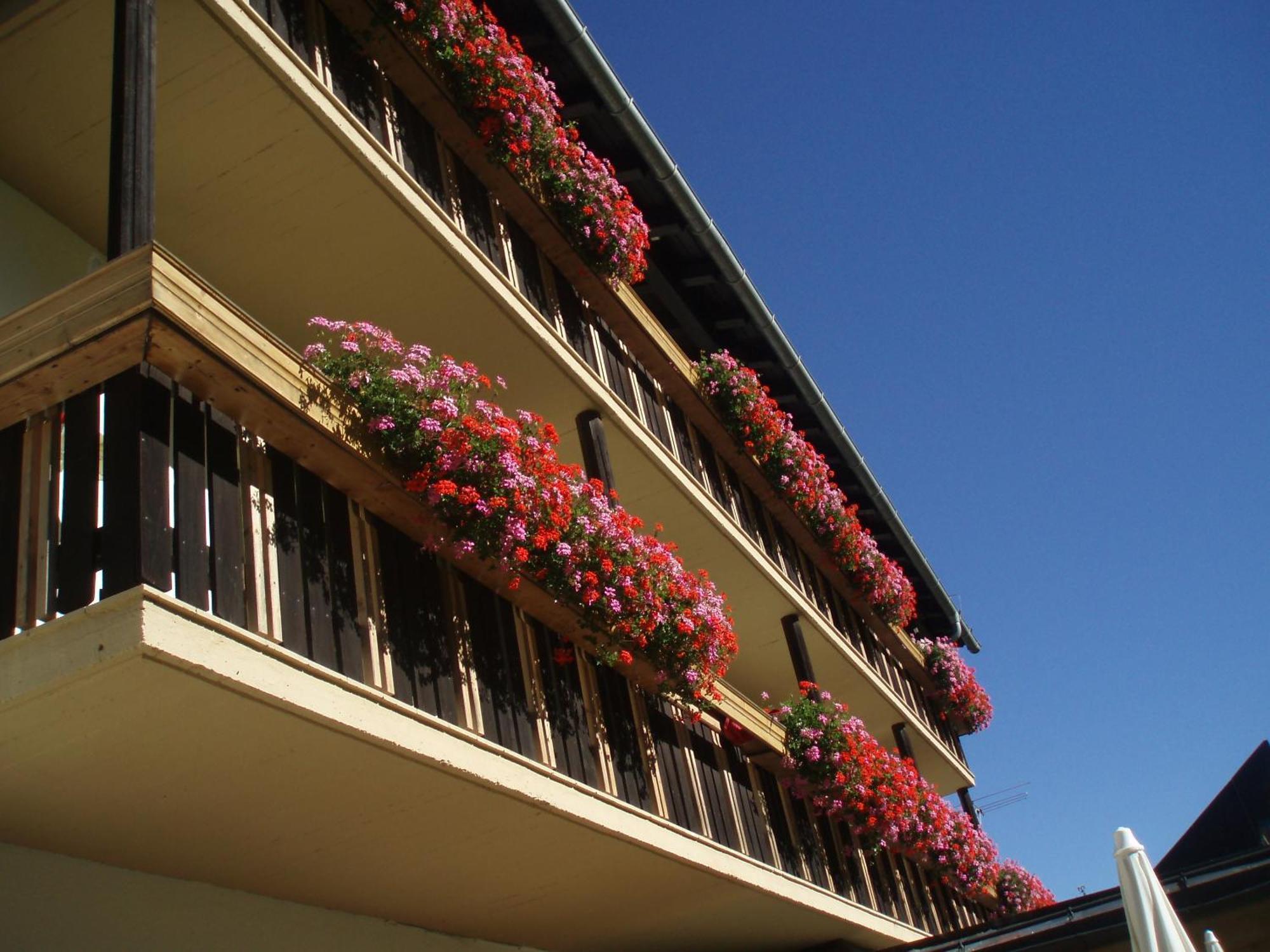 Hotel Laerchenhof Sankt Jakob in Defereggen Exterior foto